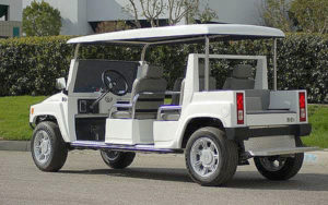 affordable golf cart rental, golf cart rent lighthouse point, cart rental lighthouse point