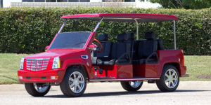 affordable golf cart rental, golf cart rent lighthouse point, cart rental lighthouse point