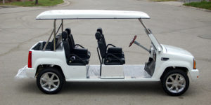 affordable golf cart rental, golf cart rent lighthouse point, cart rental lighthouse point