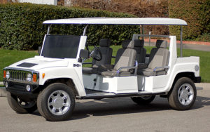 affordable golf cart rental, golf cart rent lighthouse point, cart rental lighthouse point