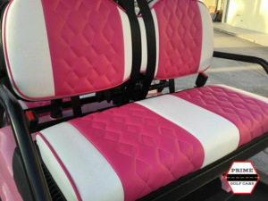 accessory feature: advanced ev icon custom two-toned seats