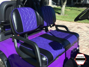 accessory feature: advanced ev icon custom two-toned seats