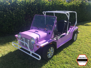 america ev mokee golf cart, luxury golf cart, mokee golf cart