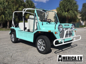 affordable golf cart rental, golf cart rent lighthouse point, cart rental lighthouse point