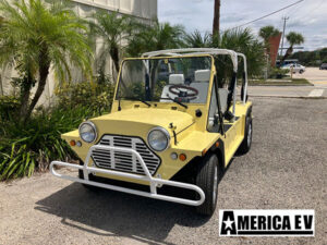 affordable golf cart rental, golf cart rent lighthouse point, cart rental lighthouse point