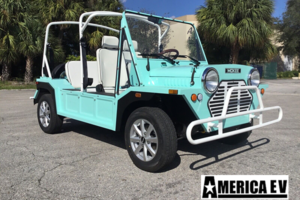 golf cart gallery, rental golf carts, street legal cart rental