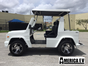 ev wagon golf cart, america ev ev wagon, golf cart sales